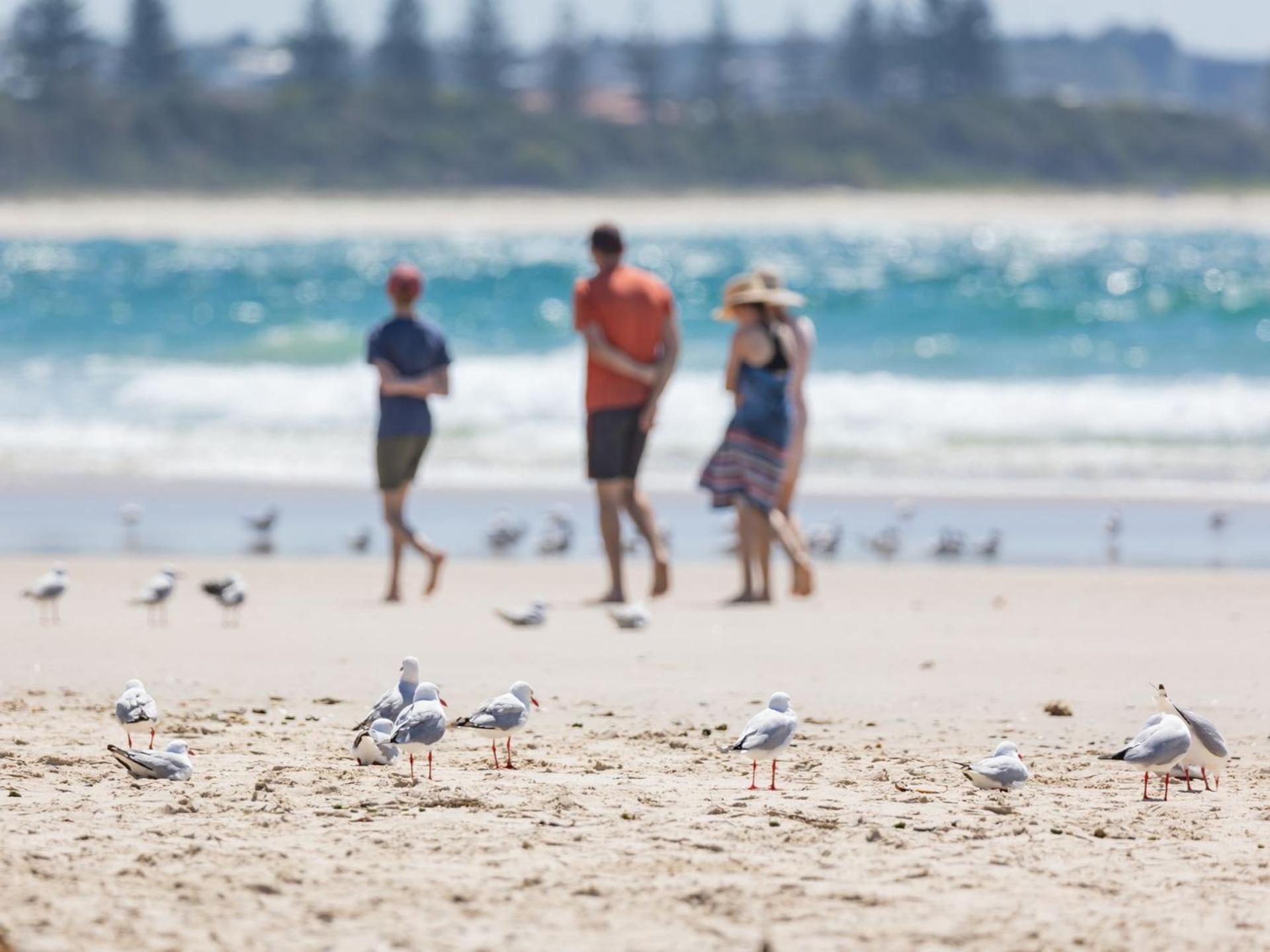 Beach House On Pearl - Kingscliff Central 外观 照片